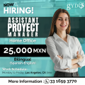 Assistant Proyect Manager