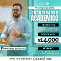 Coordinador Academico